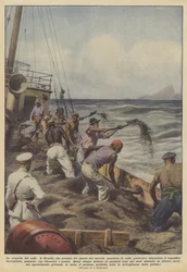 De tragedie van de koffie